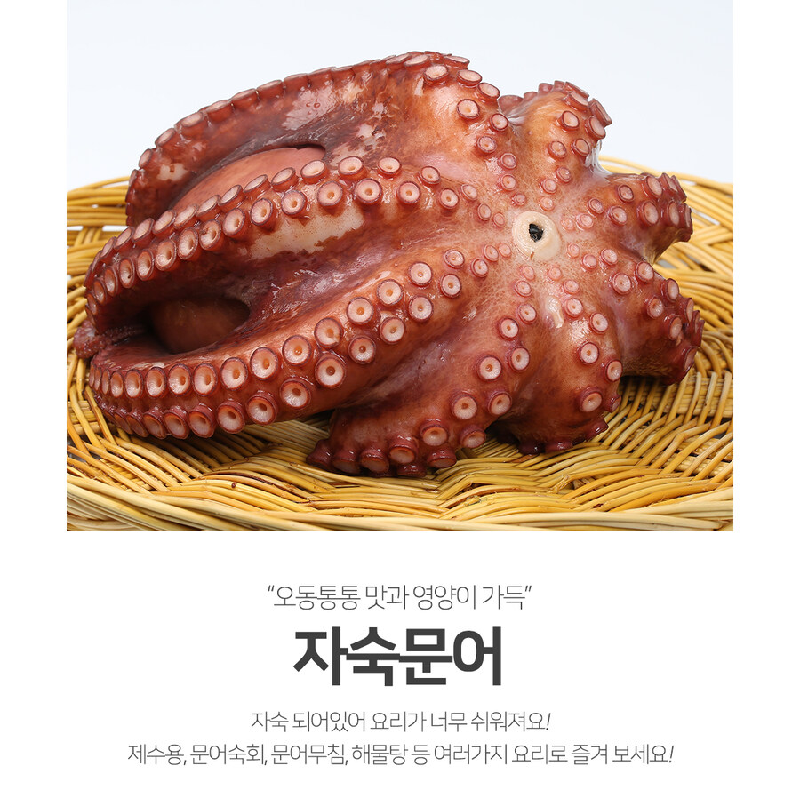 문어가 지능이 높은 이유_1.jpg