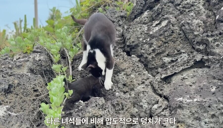 아흑...!! 엄마 거기 아니야, 거기 아니라ㄱ... 아악!!_1.jpg