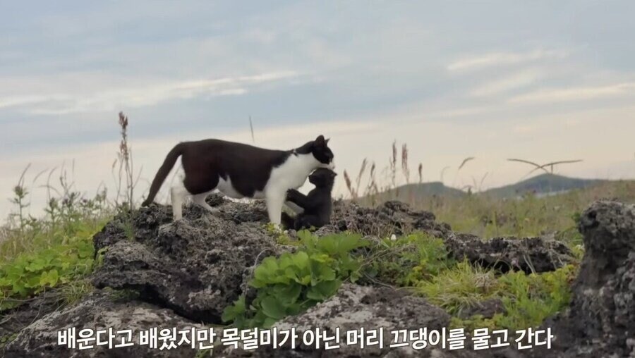 아흑...!! 엄마 거기 아니야, 거기 아니라ㄱ... 아악!!_2.jpg