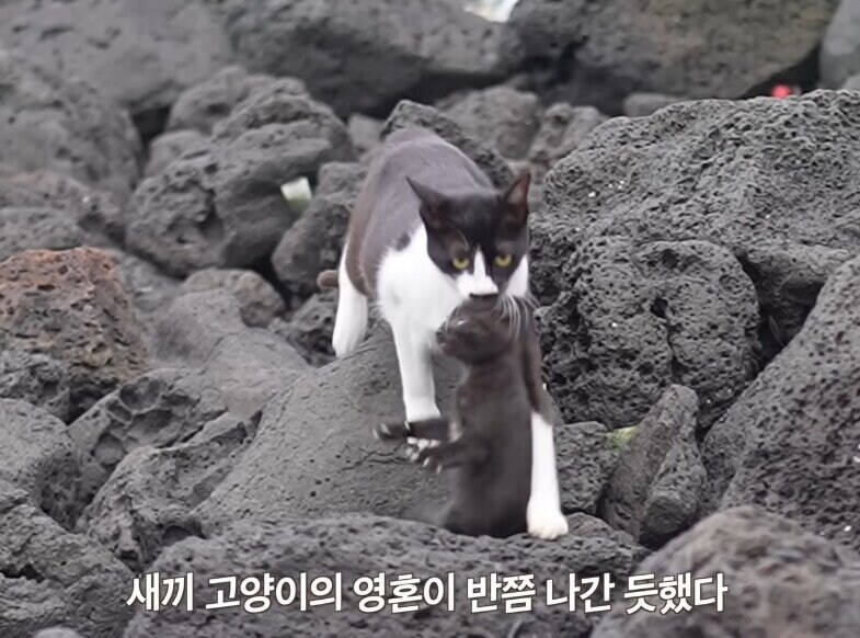 아흑...!! 엄마 거기 아니야, 거기 아니라ㄱ... 아악!!_3.jpg
