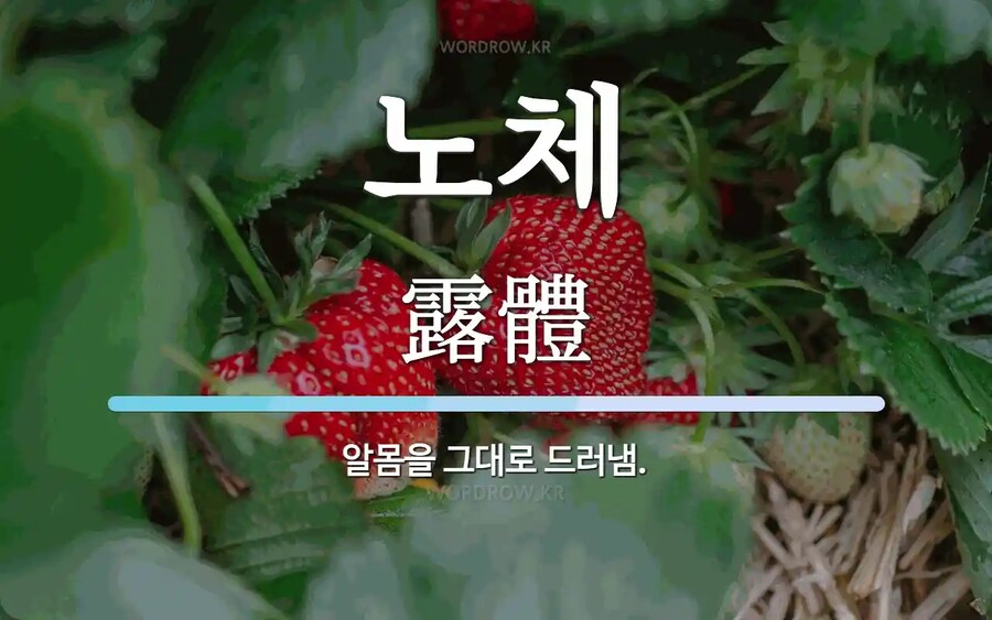난 미소녀라면 노체 좋아할 수 있어_1.png