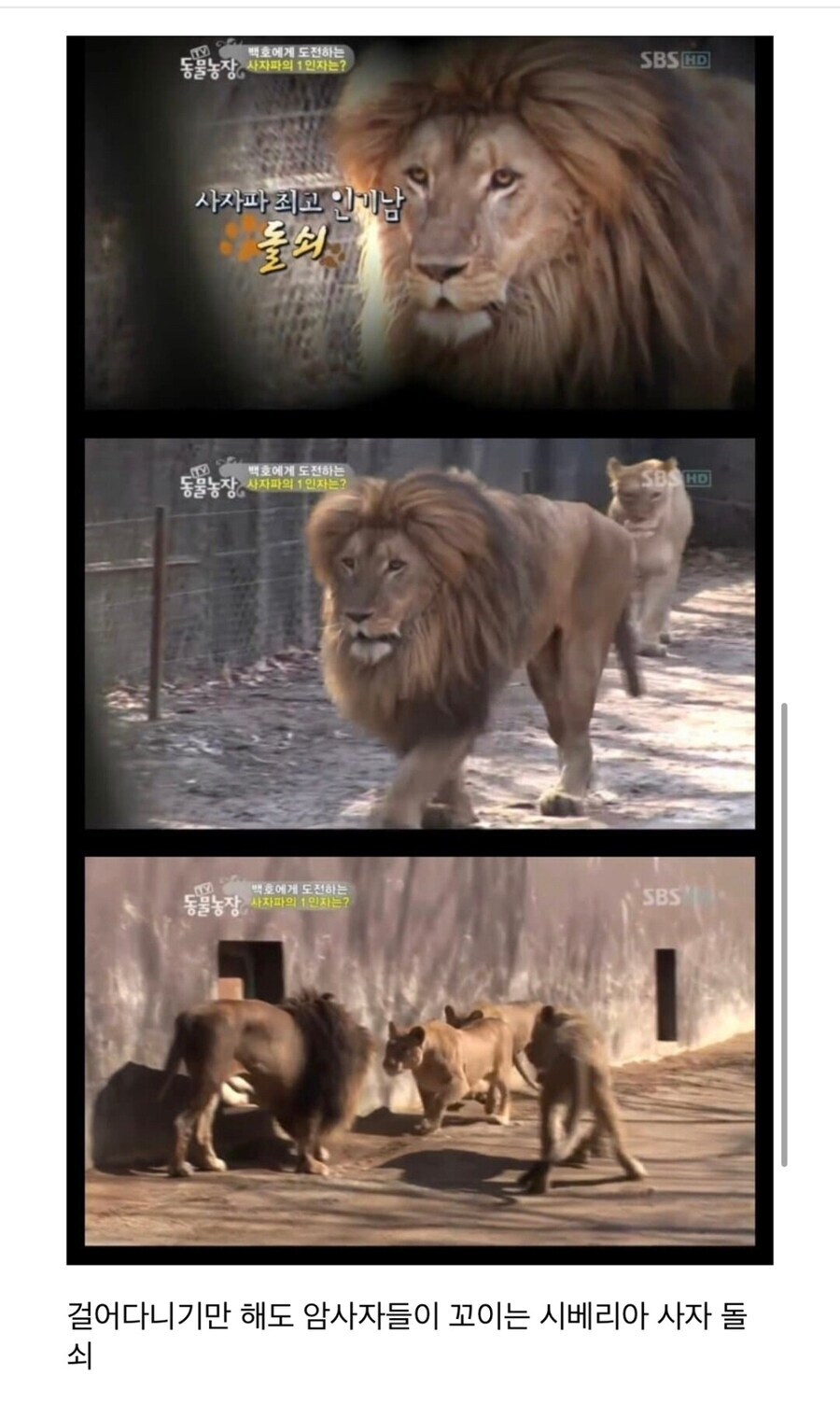 대장 됐는데 여자들이 외면하는 이유_3.jpg