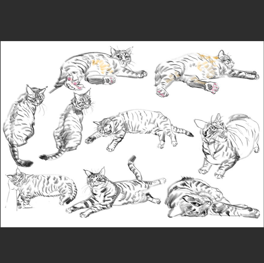 고양이) 우리집 고양이그림 보고가셈_7.png