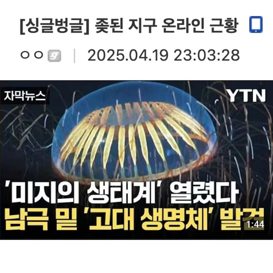 X된 지구 온라인 근황_1.jpg