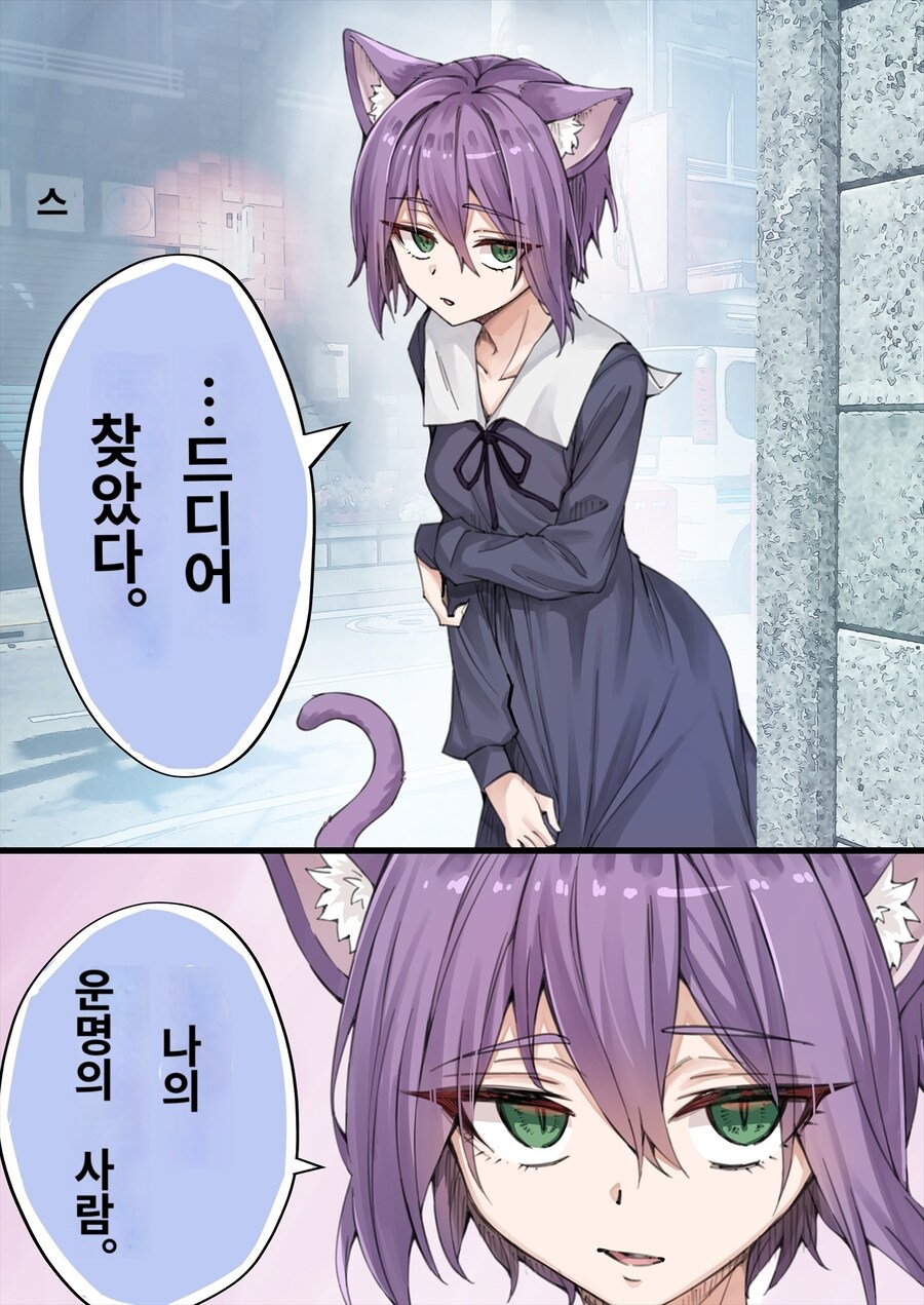 얀데레고양이)최근 스토킹 당한다고하는 주인_2.jpg