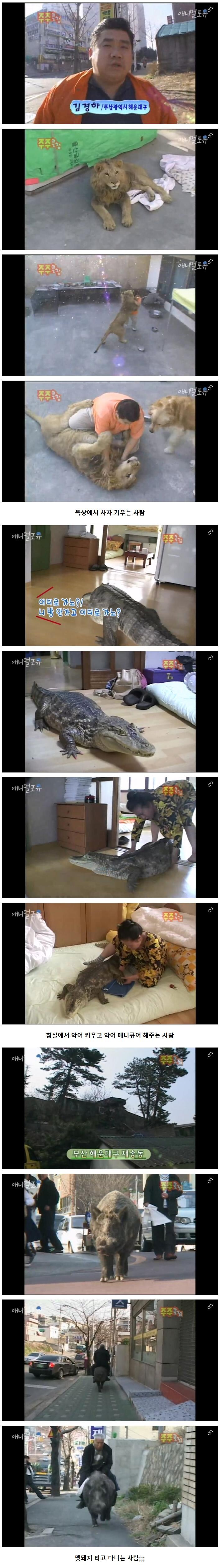 싱글벙글 광기 가득했던 2000년대 초반_1.jpg