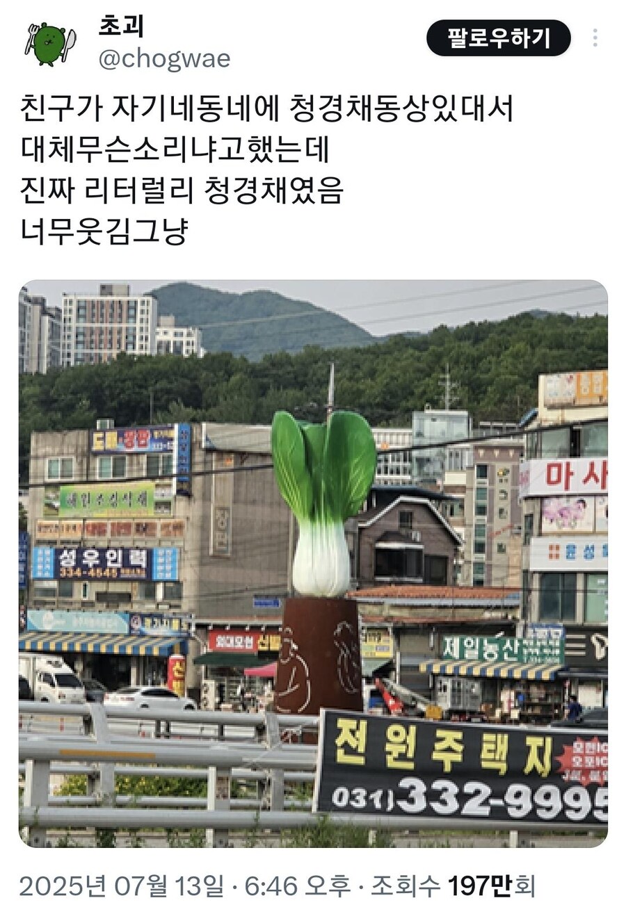친구가 자기 동네에 청경채 동상 있대서 무슨 소리냐고 했는데_1.jpg