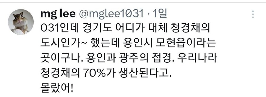 친구가 자기 동네에 청경채 동상 있대서 무슨 소리냐고 했는데_3.jpg