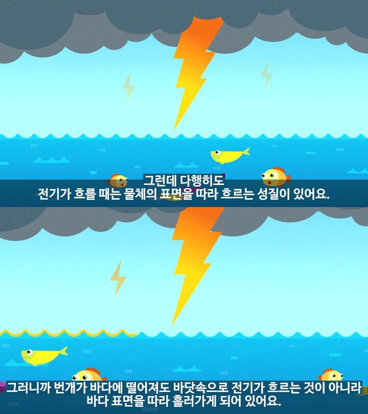 바다 물고기가 낙뢰에 감전되지 않는 이유_2.jpg