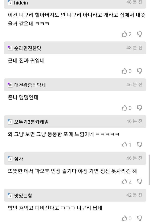 할아버지가 산에서 주운 개가 알고보니 너구리.jpg_3.jpg