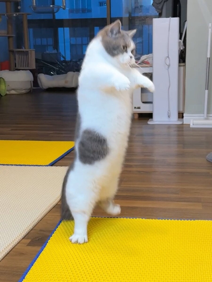 귀요미 냐옹이.._2.jpg