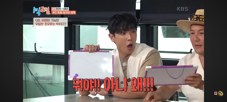 1박2일) 50% 확률도 100%로 만드는 이준.jpg_22.jpg