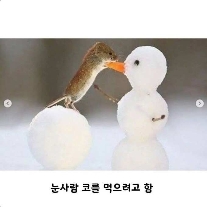 눈사람 만드는 짤의 귀여운 진실_2.png