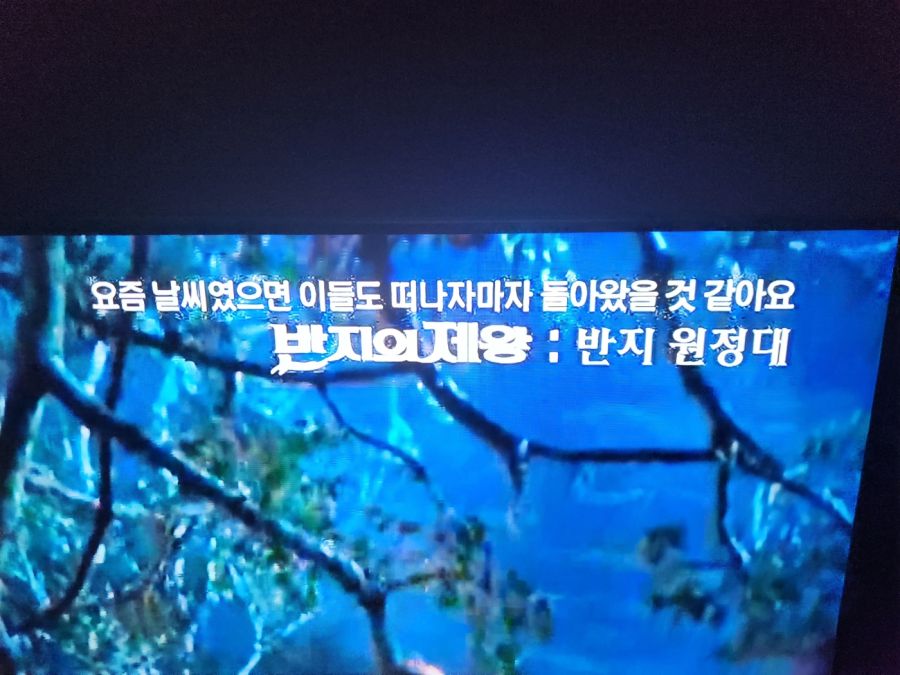 "반지의 제왕 - 여름 에디션."_1.jpg