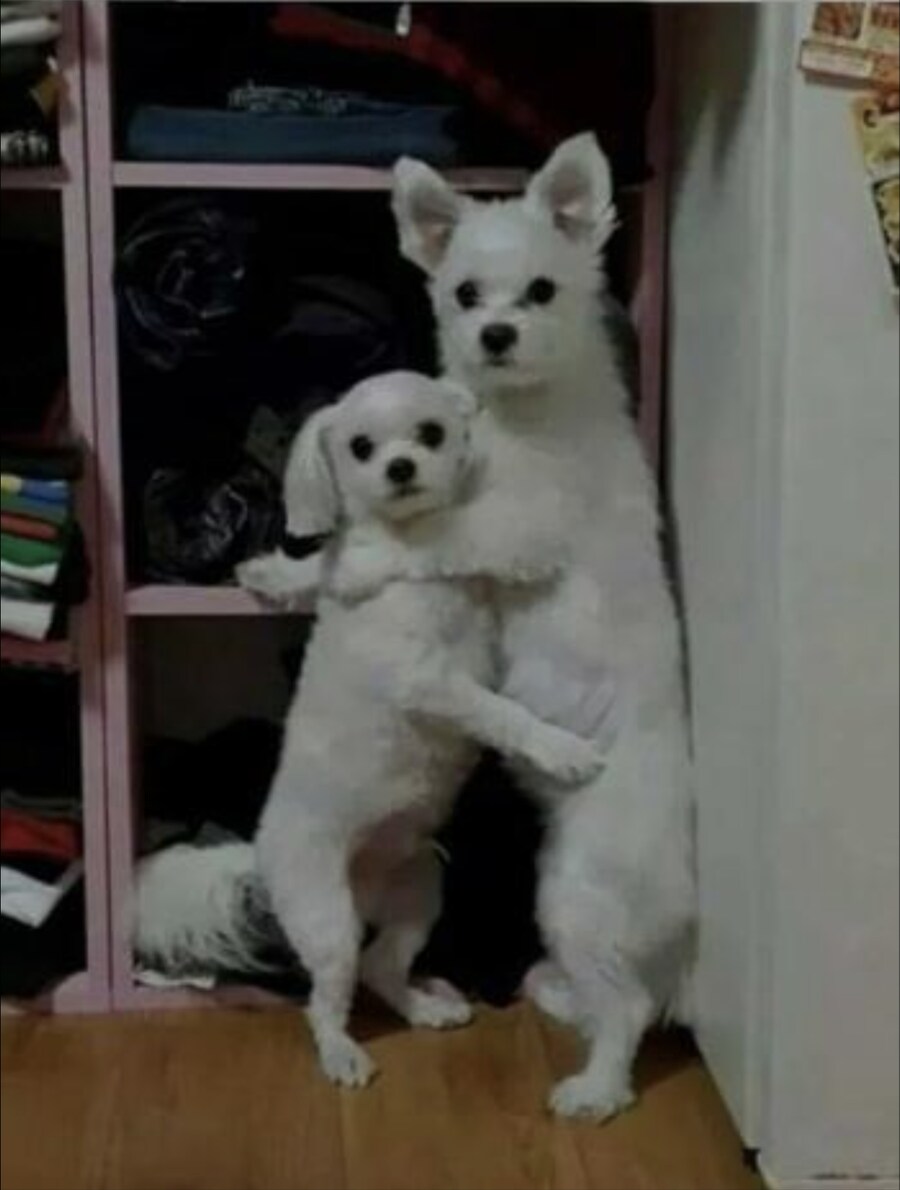 유게를 비롯한 커뮤 최상위 포식자_5.png