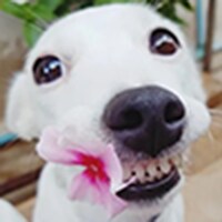 친구 부인은 뭐라고 부르는게 나음?_1.png