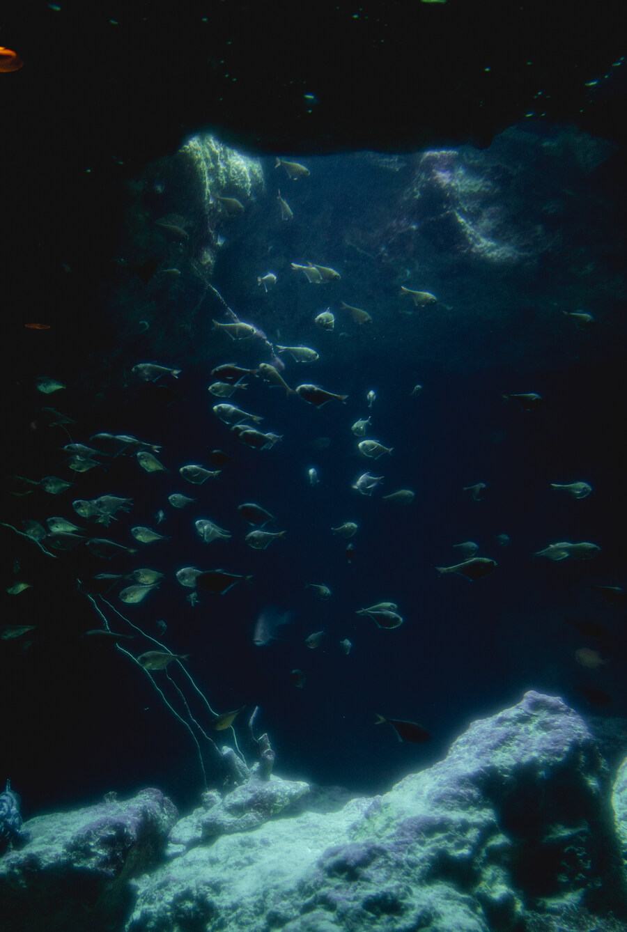 지인 부부와 오키나와를 함께 가게 된 스토리 +여행 가이드(스-압)_32.jpg