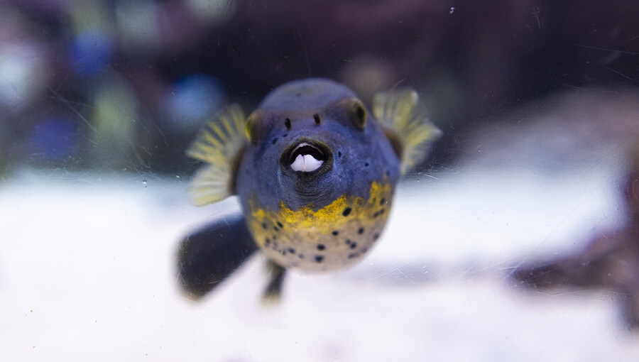 지인 부부와 오키나와를 함께 가게 된 스토리 +여행 가이드(스-압)_33.jpg