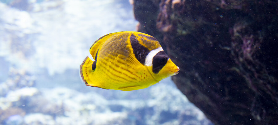 지인 부부와 오키나와를 함께 가게 된 스토리 +여행 가이드(스-압)_34.jpg