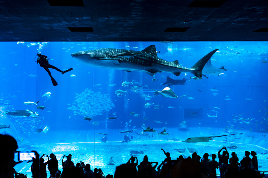 지인 부부와 오키나와를 함께 가게 된 스토리 +여행 가이드(스-압)_38.jpg