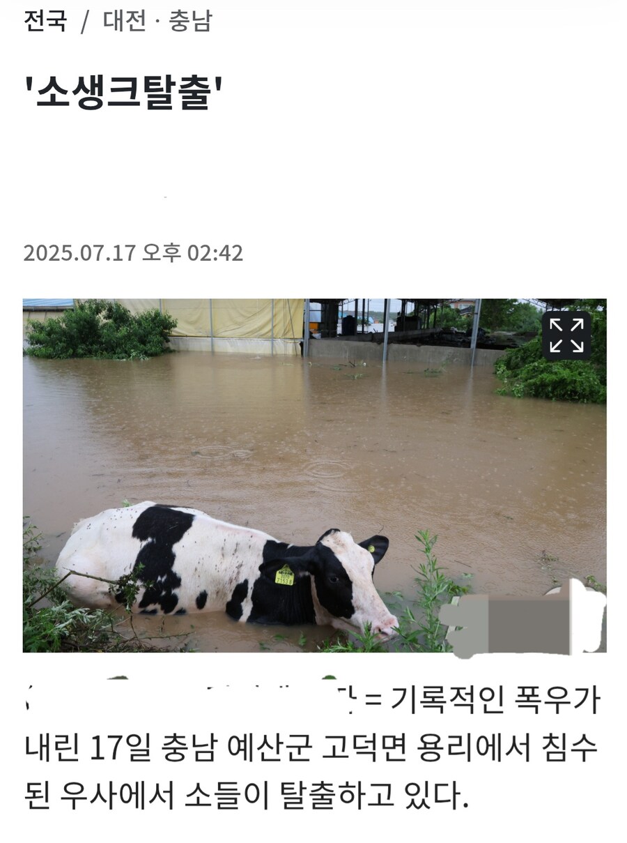 소생크 탈출_1.jpg