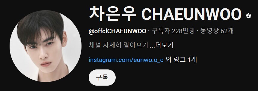 구독자 228만 유튜버로 살기 VS 차은우 외모로 살기_1.png