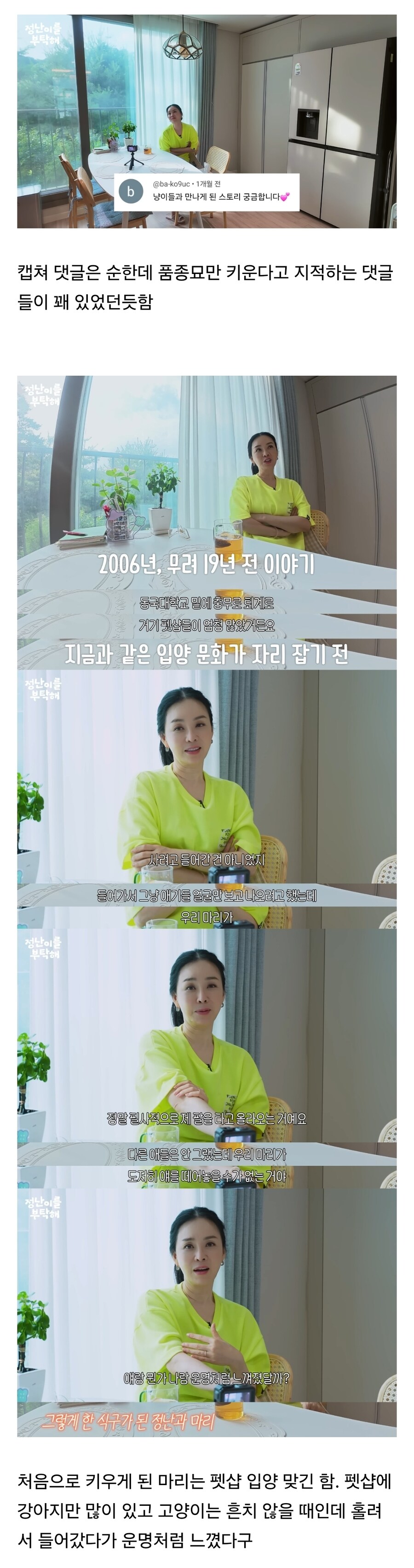 품종묘만 키우냐고 욕먹은 배우 김정난.jpg_1.jpg