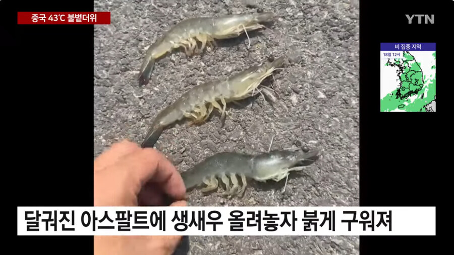 너무 더운 중국 근황_6.jpg