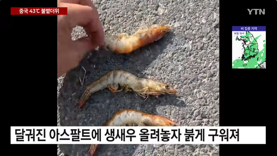 너무 더운 중국 근황_7.jpg