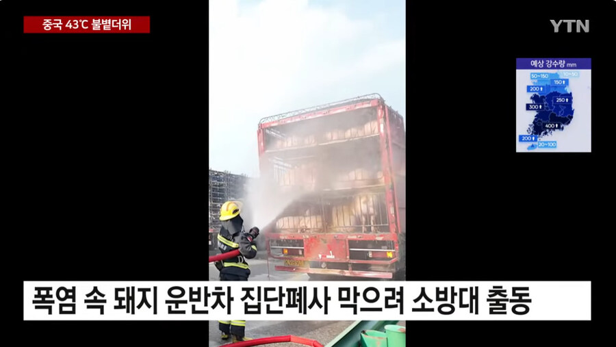 너무 더운 중국 근황_8.jpg