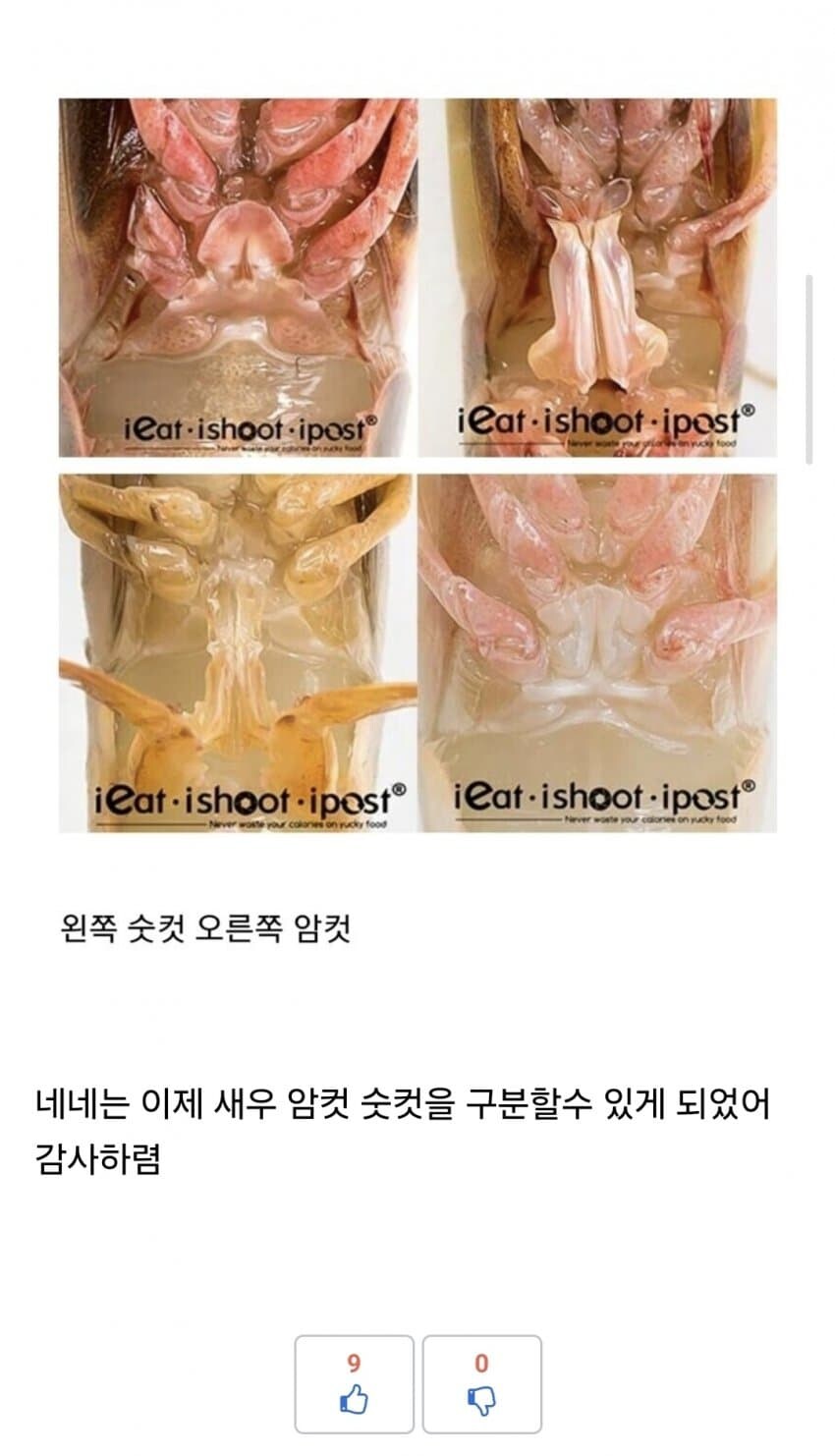 디씨인들도 보고 기겁한 유게_4.jpg