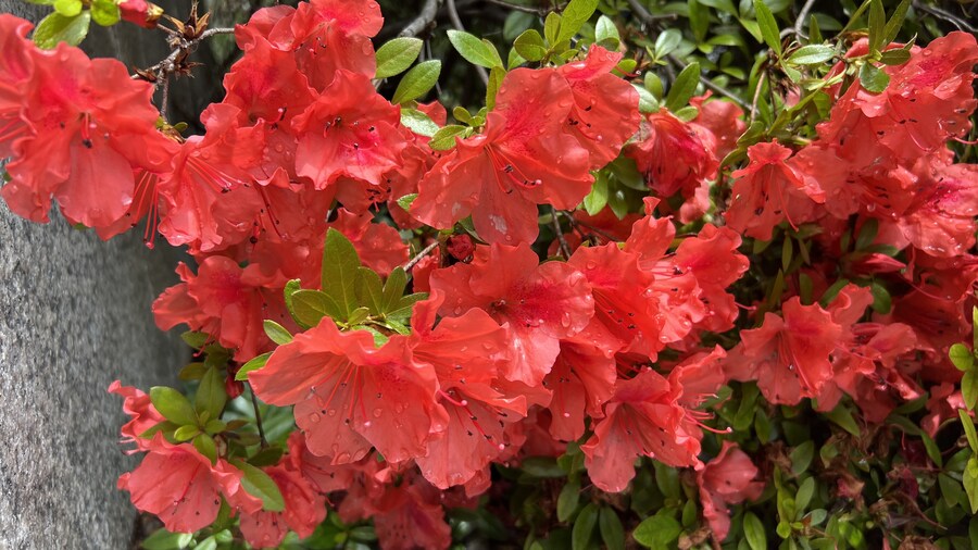 부산 사는 남자의 2025년 06월 먹부림. (※스압, 데이터)_127.jpg