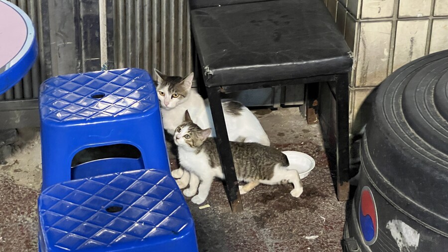 부산 사는 남자의 2025년 06월 먹부림. (※스압, 데이터)_153.jpg