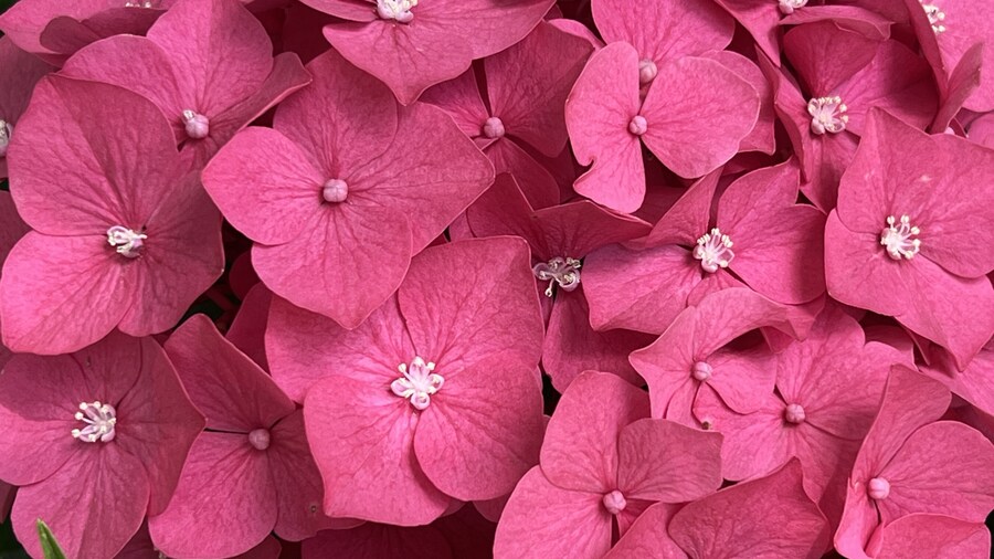 부산 사는 남자의 2025년 06월 먹부림. (※스압, 데이터)_162.jpg