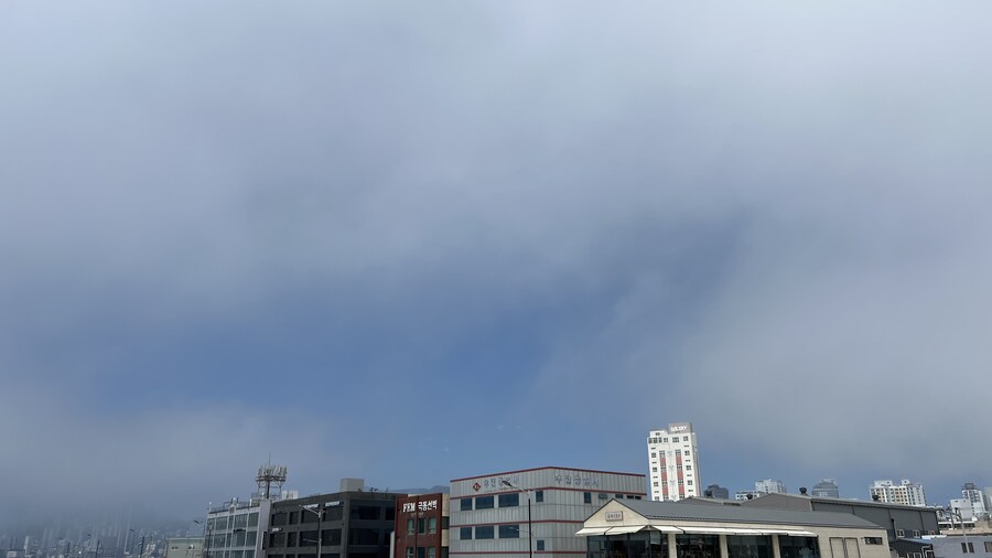 부산 사는 남자의 2025년 06월 먹부림. (※스압, 데이터)_177.jpg