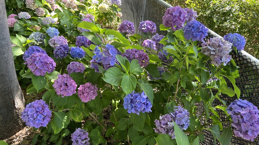 부산 사는 남자의 2025년 06월 먹부림. (※스압, 데이터)_200.jpg