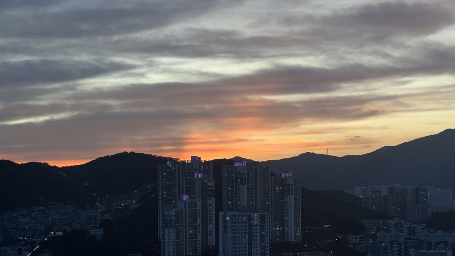 부산 사는 남자의 2025년 06월 먹부림. (※스압, 데이터)_231.jpg