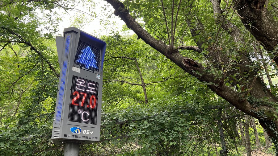 부산 사는 남자의 2025년 06월 먹부림. (※스압, 데이터)_241.jpg