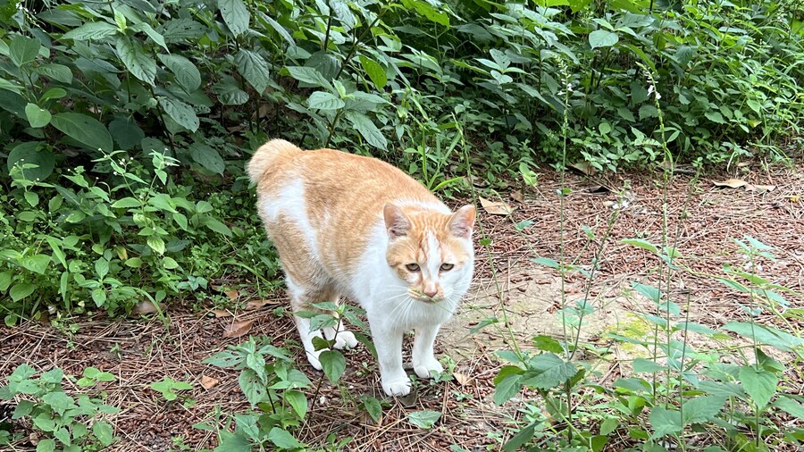 부산 사는 남자의 2025년 06월 먹부림. (※스압, 데이터)_254.jpg