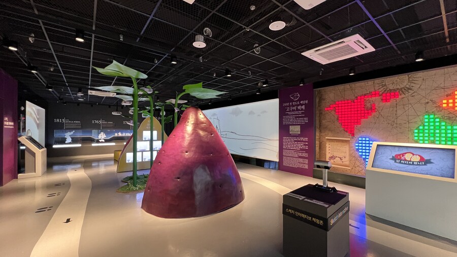 부산 사는 남자의 2025년 06월 먹부림. (※스압, 데이터)_260.jpg