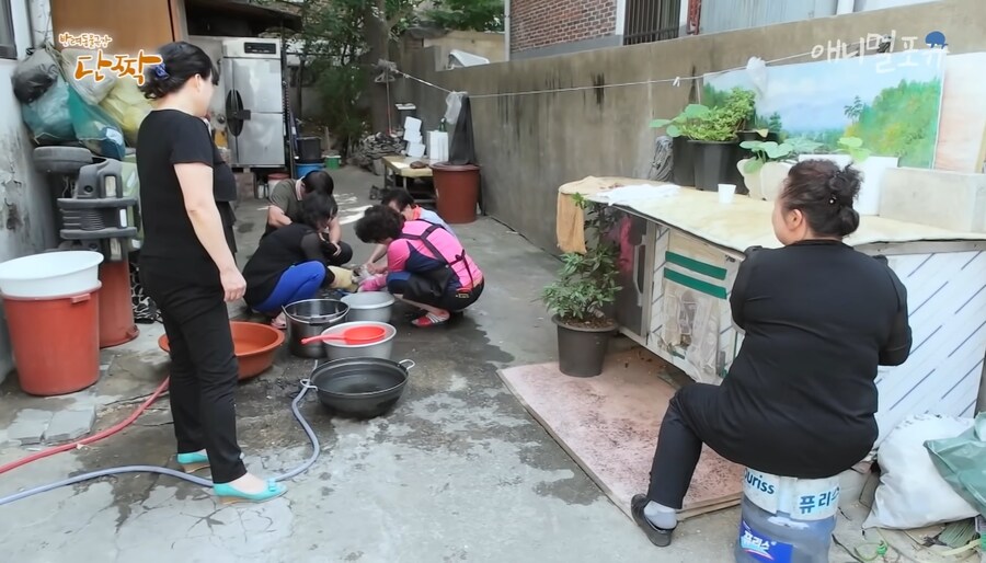 혐) 산체로 삶아지는 고양이...jpg_2.jpg