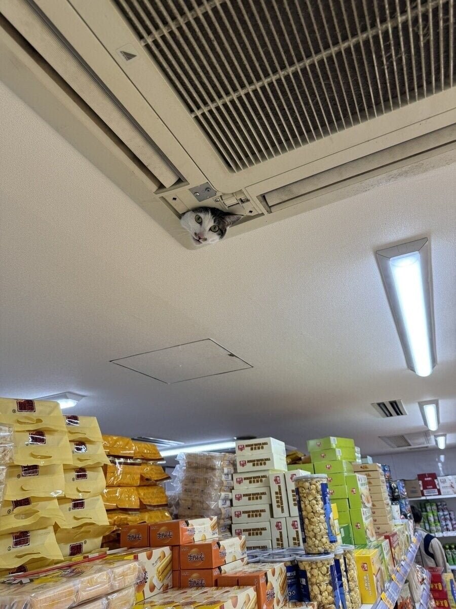 의외로 에어컨에 기생중인 생물_1.jpg