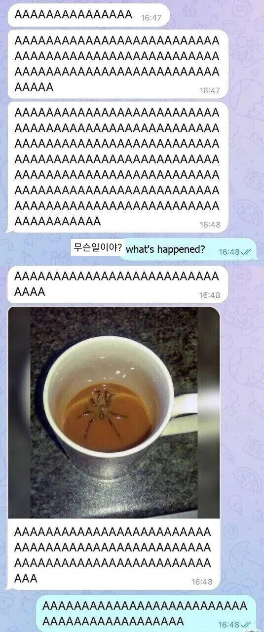 AAAAAAAAAAAAAAAAAAAAAAAAAAAAA_1.jpg