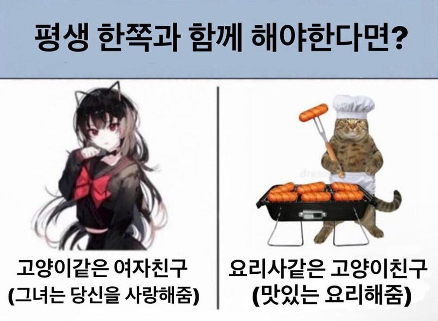 고양이같은 여친 vs 요리해주는 고양이 친구_1.jpg