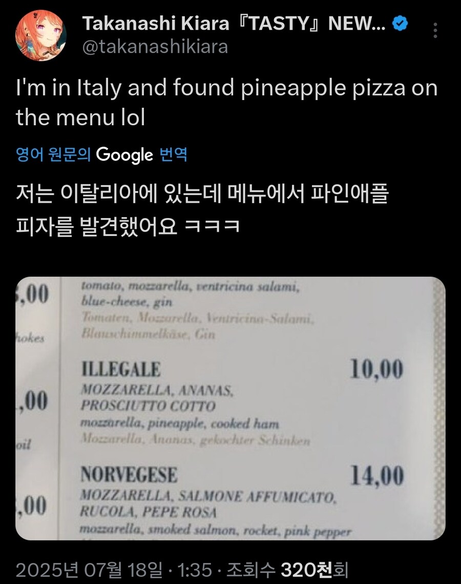 버튜버) 이거 이태리어로 불법이란 뜻이구나ㅋㅋㅋ_1.jpg