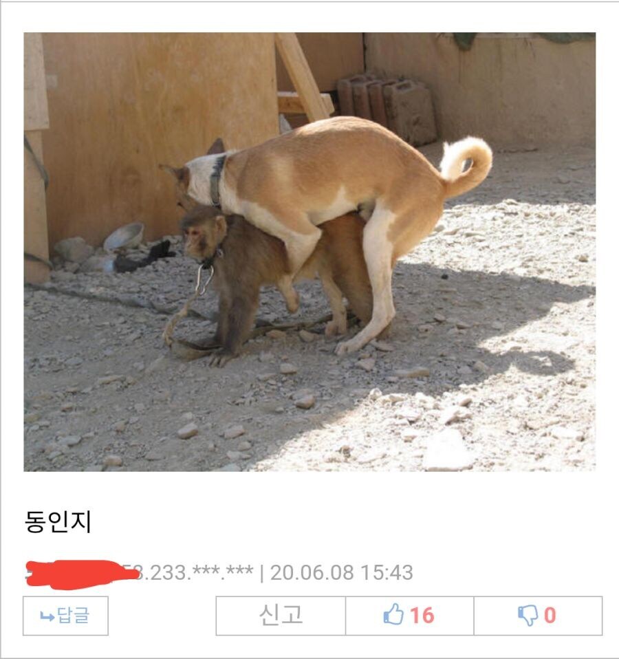 원숭이 아저씨 이전에 유게에서 유행했던것.jpg_5.jpg