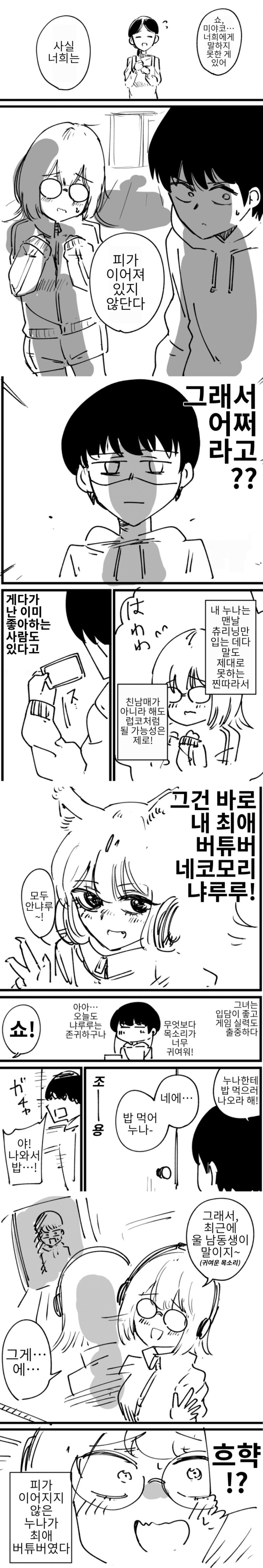 버튜버?) 베스트에 올라온 이 만화를 보고 든 생각._1.jpg