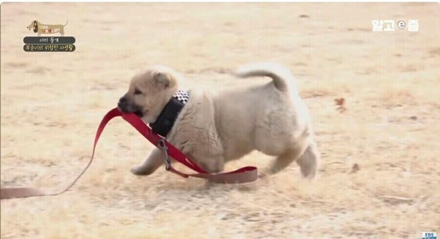 내년엔 퇴사할까 고민된다_1.png