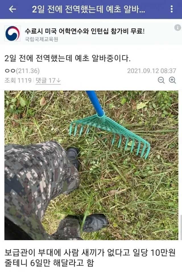 2일전 전역하고 예초 알바하기_1.jpg