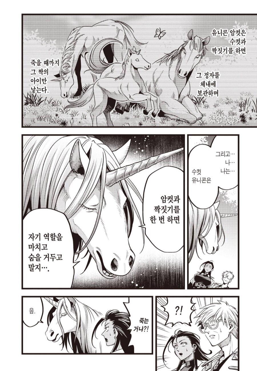 유니콘이 처녀충인 이유_2.png